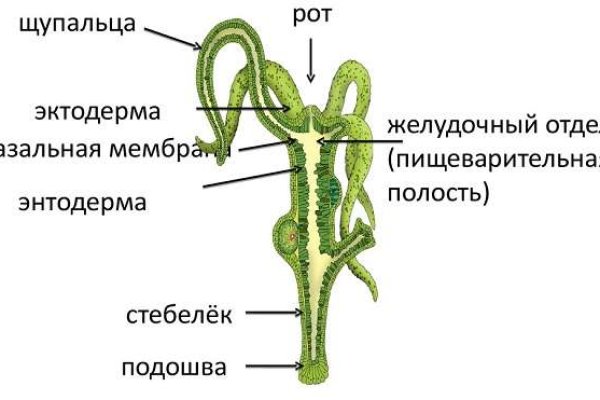 Кракен сайт зеркало рабочее