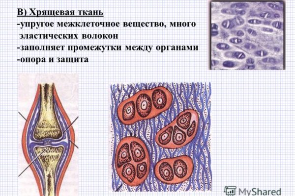 Как выводить деньги с кракена