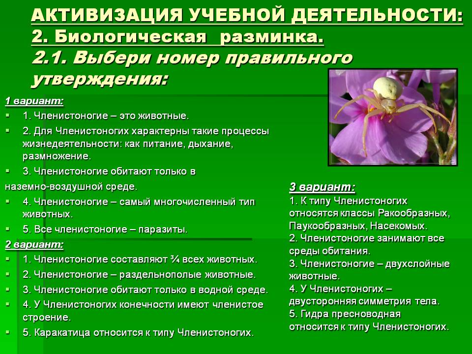 Кракен ссылка на рабочее зеркало